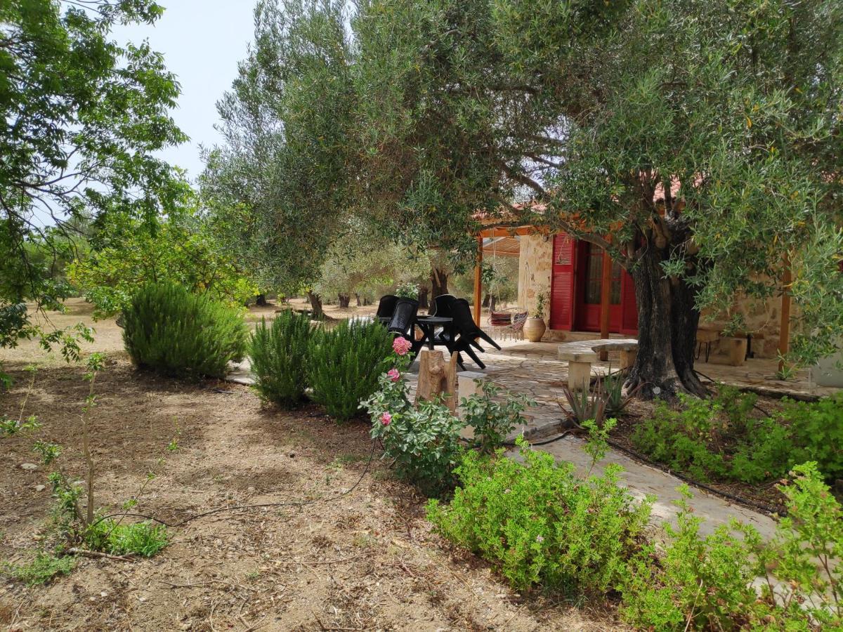 Dreamy Stone House Villa Pesadha Exterior photo
